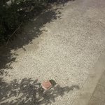 누가 여기에 <b>돌멩이</b> 놔뒀냐