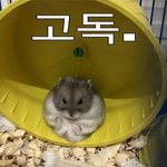 학교<b>말고</b> 친구 ㅇㄷ서 사귐?