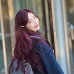 ‘애니메이션 캐릭터 재질 출근 비주얼’ (<b>동물</b>농장 출근길) [HD포토]