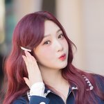 보여주고 싶은 러블리 진주 헤어핀’ (<b>동물</b>농장 출근길) [HD포토]