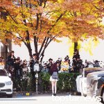 아침 팬들과 함께하는 출근 인사’ (<b>동물</b>농장 출근길) [HD포토]