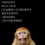 꿀팁공유해준판녀
