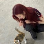 [모두드루와] 레드벨벳 조이, 길에서 만난 고양이 '쓰담쓰담'하는 <b>일상</b>...
