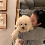 [댓글부탁해] 복귀' 서예지, 유명배우와 친목 포착…"예쁜 누나...