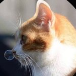 이제 <b>첫끼</b>먹어야지...에훙