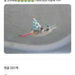 <b>김이한</b> 너무좋긔