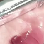 님<b>드라</b> 립추천좀 부탁해유