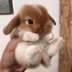 내 인터넷 <b>최대업적</b>