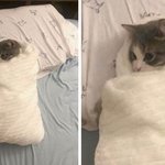 이제일어나<b>쏘</b>...우앙피곤