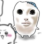 요즘 에이블리 바지들 <b>밑위</b> 왤케 기냐..