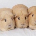 [드루와] ㄹㅇ수능은 <b>막판</b>에 스퍼트 붙는애들이