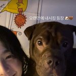 서신애 반려견과 다정한 <b>투샷</b> “내시키 등장”