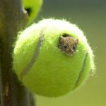 <b>감자</b>같은 사람이 좋다