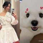 송혜교, 미인은 잠꾸러기라더니…8시에 벌써 "굿나잇"