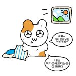 발목 시큰거리는 사람 있냐