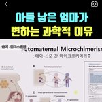 남미새 아들맘이 과학적으로 <b>증명</b>된거였누