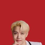 방탄 Lotte Duty Free 2021 <b>제이홉</b>
