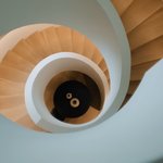 와 <b>제니</b> 보그 영상 <b>제니</b> <b>집</b>임?