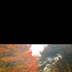 <b>단풍</b>구경