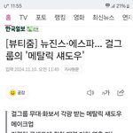 한국<b>일보</b> 합에 돈먹었어?