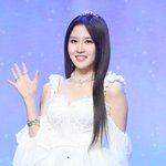 [이것좀봐줘] 아일리원 <b>아라</b>, 부상으로 휴식기 가진다 "향후 5인...