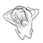 삼수생 김판녀 수능 4일전 <b>벼락</b>같은 소식