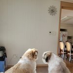 <b>늦잠</b>잘려니까