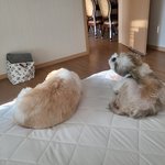 터줏<b>대감</b>봐..