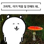 [댓글부탁해] 이거 룸메한테 <b>서운</b>할 수 있는거지?