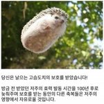 수능 <b>대박나자</b>