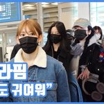 "가려도 귀여워"…르세라핌, 유럽에서 컴백