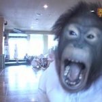 [드루와] 와 진짜 <b>멍청</b>한 남자들 개많네