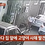 [어케생각해] 죽은 고양이 발로 뻥 네티즌 갑론을박
