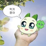 [드루와] 수능 하루 남기고 <b>저주</b>글이나 쓰는애들은