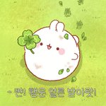 너희에게 <b>행운</b>이 오길!!!!!!수능 화이팅!!!