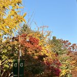 얘들아 <b>수능</b> 잘치고 우리학교와