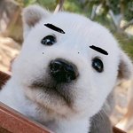 얘<b>두라</b> 수능본다구 수고했다