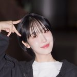 비비지 신비, ‘이 집 고양이가 챌린지를 그렇게 잘 한다면서요?’...