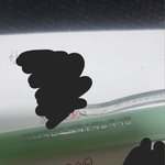 나 수능 2일전에 생윤 <b>벼락</b>치기했다고 한 판녀인데