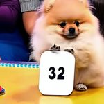 트리플에스 김유연이랑 <b>미미미누</b>랑 무슨 사이임?