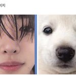 별명이 백구인 이유 <b>이해완</b>