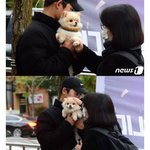 매년 수능응원하러 나오는 강아지들