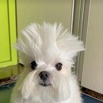 [댓글부탁해] 남사친 <b>오줌</b>싸는거 봐버림 ,,,,,ㅋㅋ