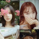 우주소녀, 2025 시즌 그리팅 '선플라워' 출시 [공식]