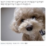 [댓글부탁해] <b>옷사고</b> 돈없어서 쿠팡뛰기..