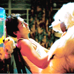 홍콩영화 중경<b>삼림</b>본 판녀있냐