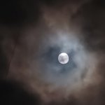 [드루와] 얘들아 폰<b>카로</b> 달 이정도면 잘찍은거임??