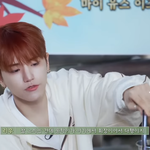 <b>운학이</b>가 진짜 리더였으면 어땟으려나