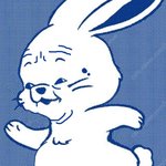 버니즈 <b>현실</b>