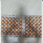 얘들아 지금 동덕여대가면 <b>케찹</b>이랑 계란 공짜로